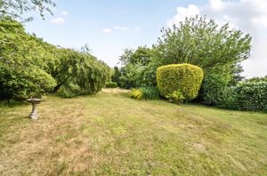 Garden- click for photo gallery